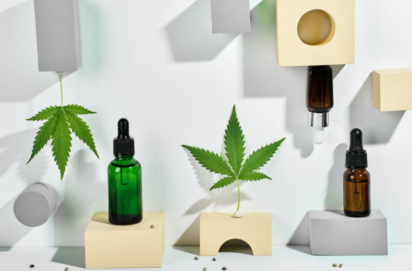  Empresas já desistiram de colocar 9 produtos à base de cannabis nas farmácias