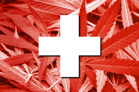Switzerland Flag on cannabis background. Drug policy. Legalization of marijuana