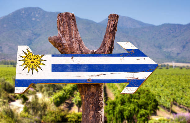  Uruguai estuda legalizar a maconha para turistas