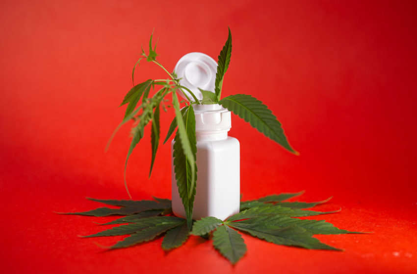 CBD de associação ou CBD importado?
