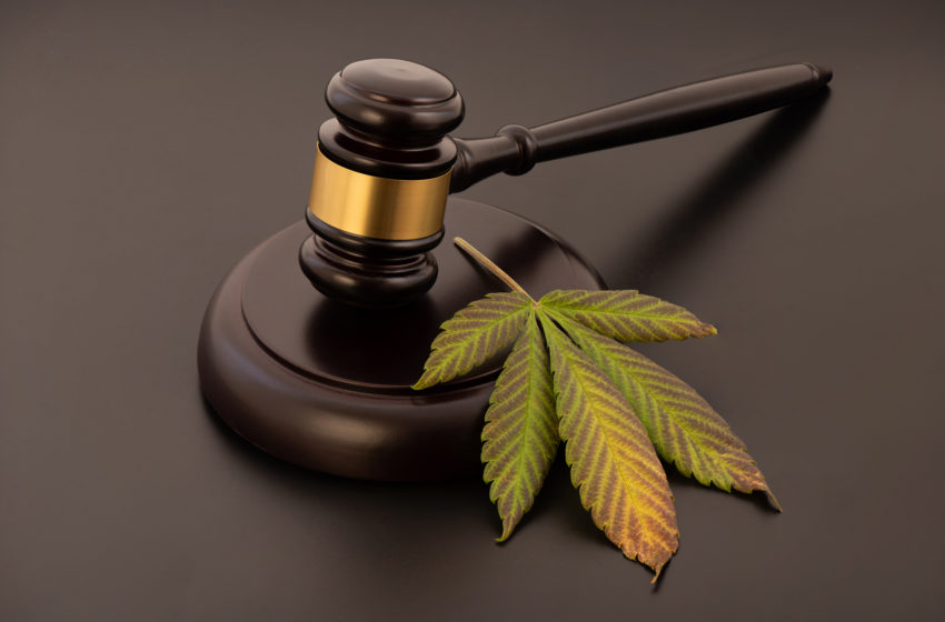  Juiz autoriza farmácia de homeopatia a manipular cannabis 