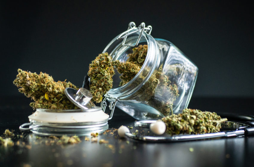 Mesmo no limbo, pacientes fazem importação de flores de cannabis