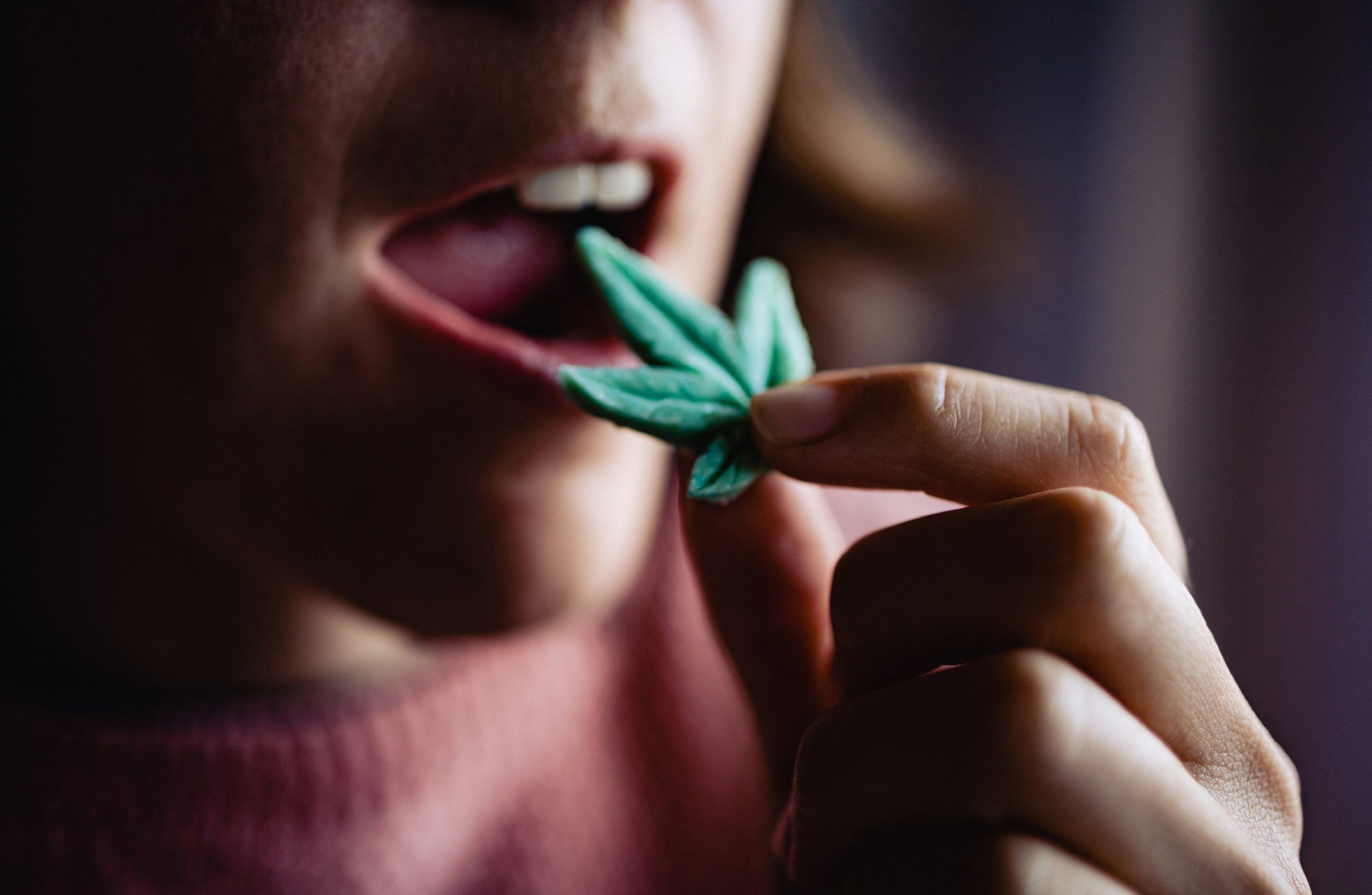 mulher comendo gummies de cannabis mulher comendo gummies de cannabis