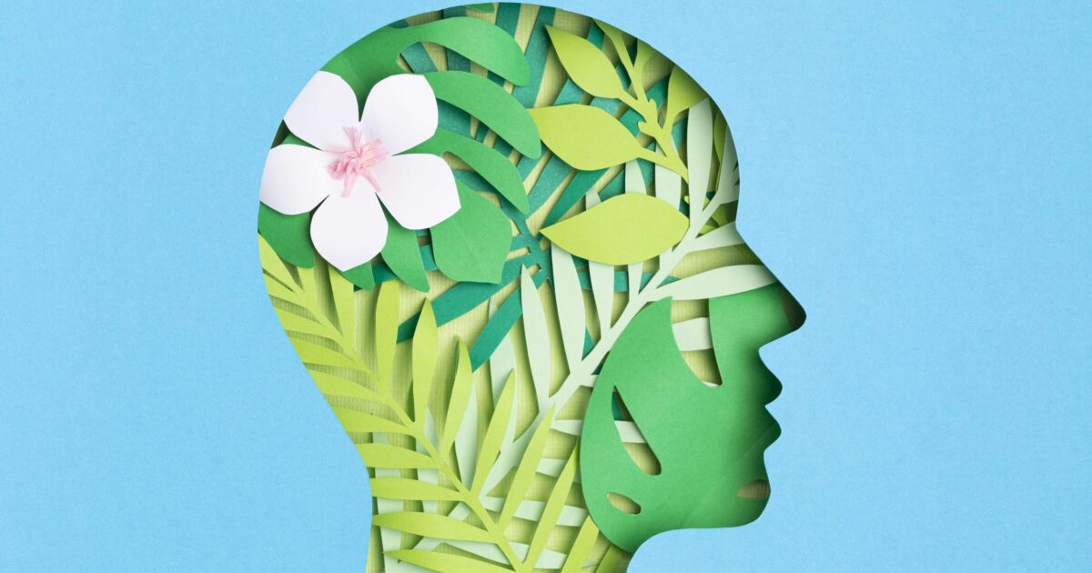 Cannabis e doenças degenerativas: o que se sabe?
