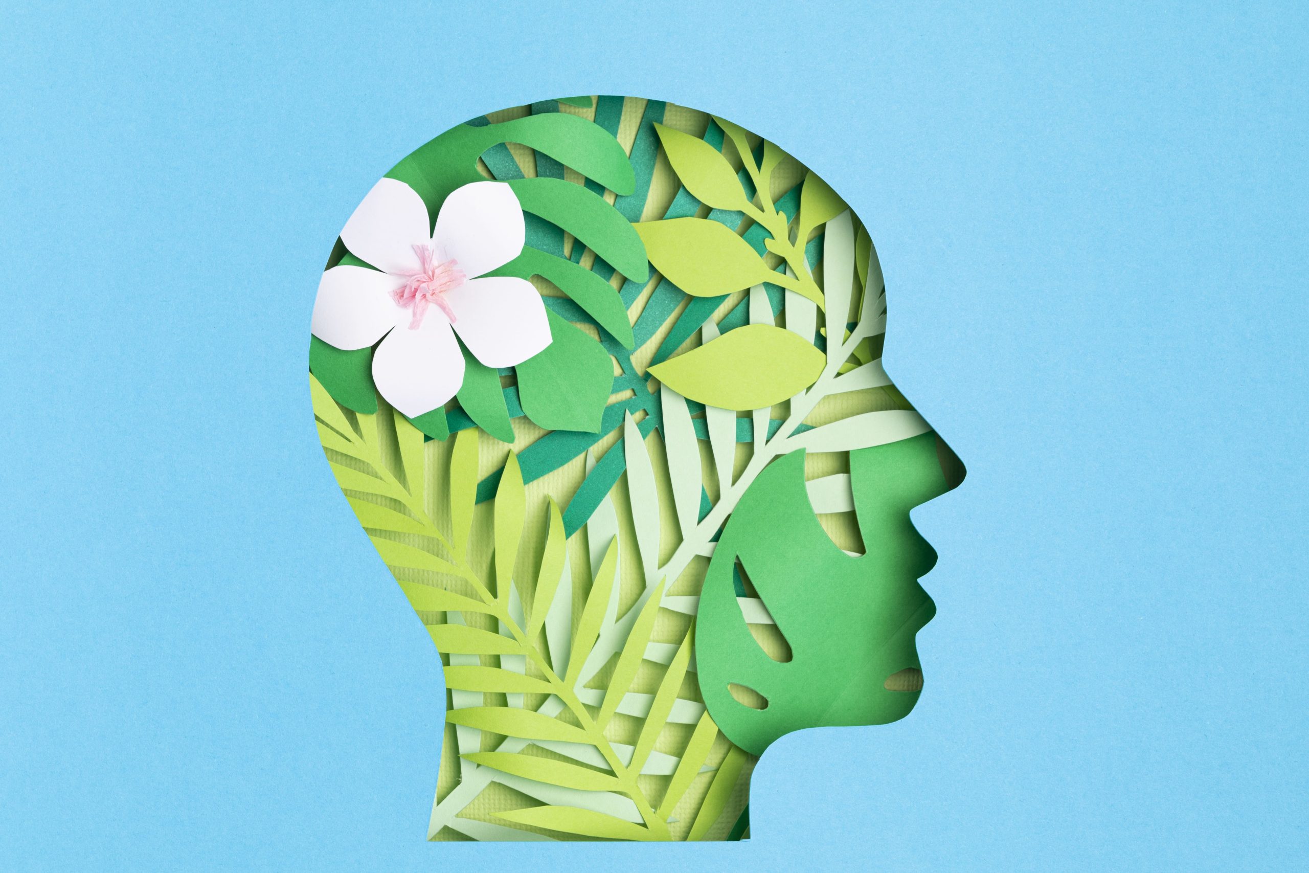 A cannabis como tratamento para doenças degenerativas