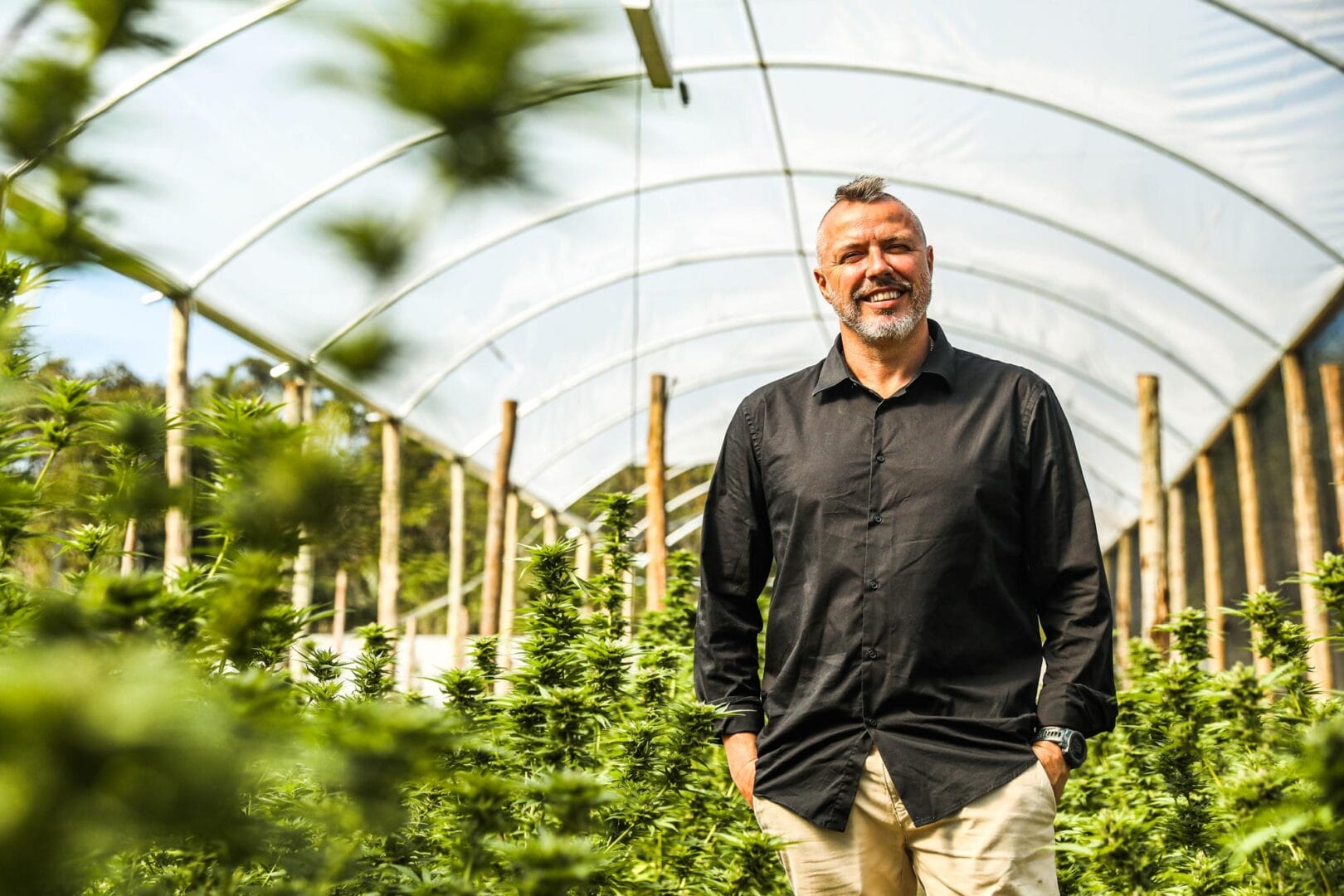 Santa Cannabis conquista direito de cultivo Santa Cannabis conquista direito de cultivo