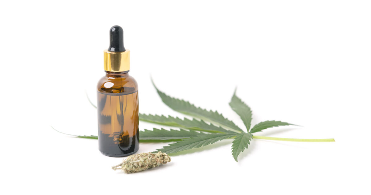 Hemp Oil: O que é, para que serve e como usar?