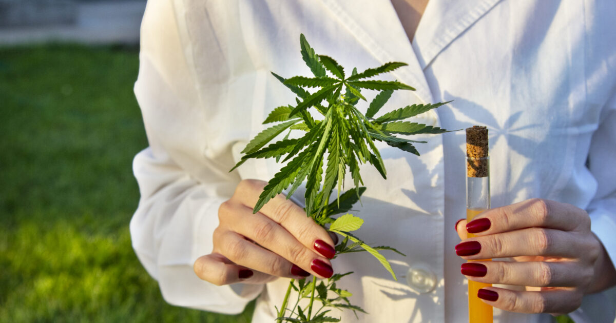 Cidade do RJ pode aprovar Dia da Maconha Medicinal