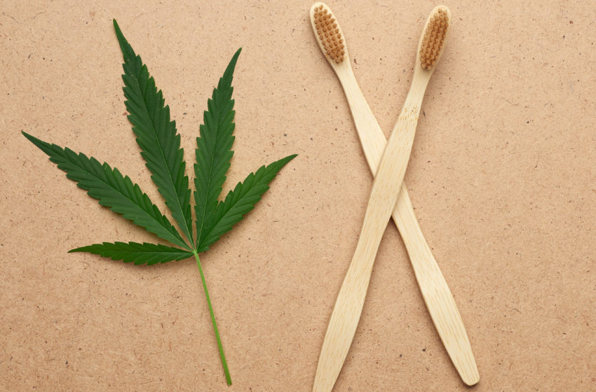 Cannabis para os dentes? Procura pelo tratamento cresceu 300%