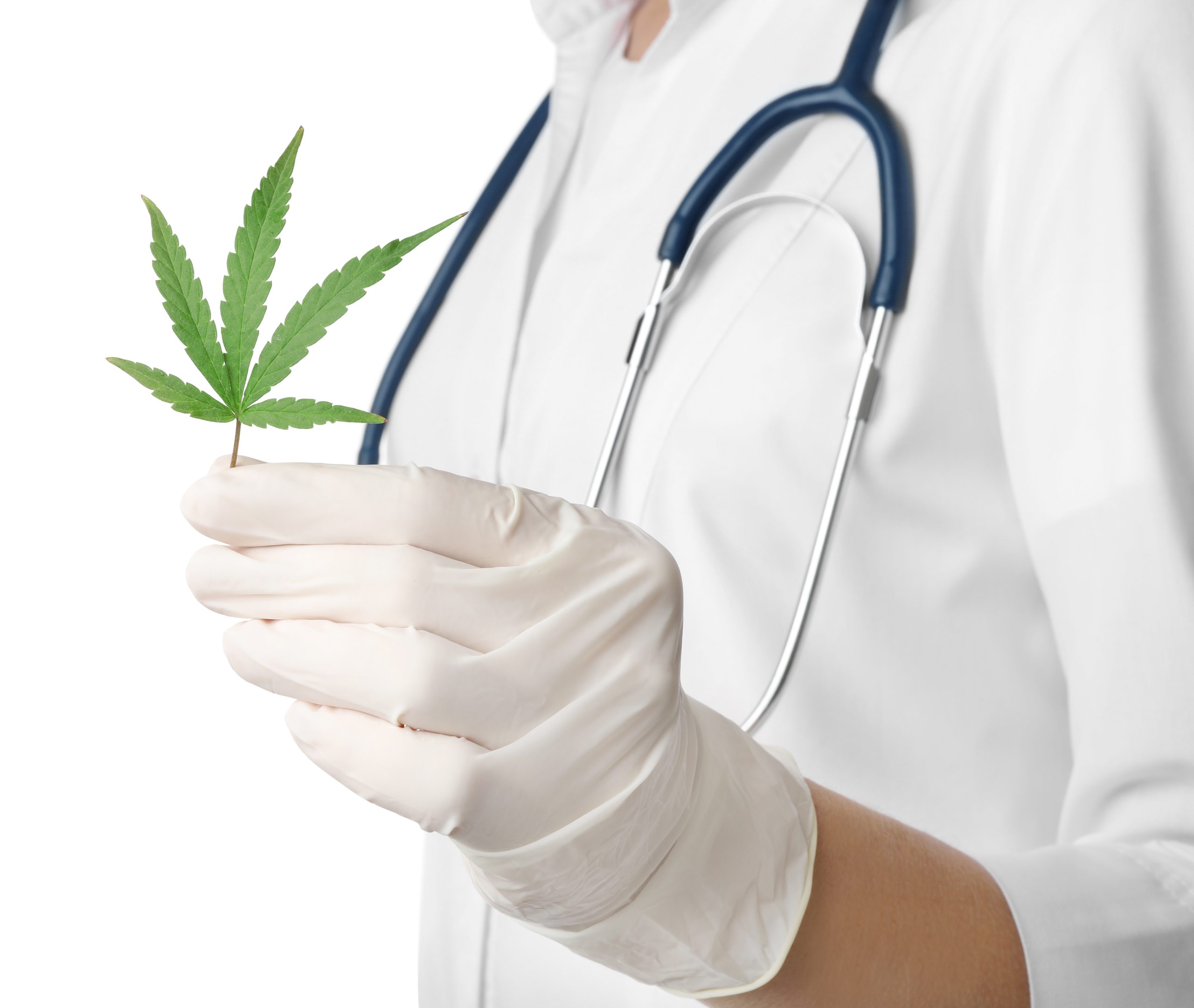 Primeira consulta com cannabis medicinal: o que preciso saber?