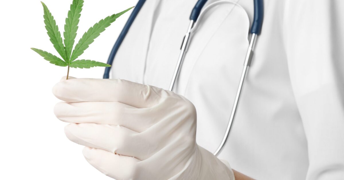 Primeira consulta com cannabis medicinal: o que saber?