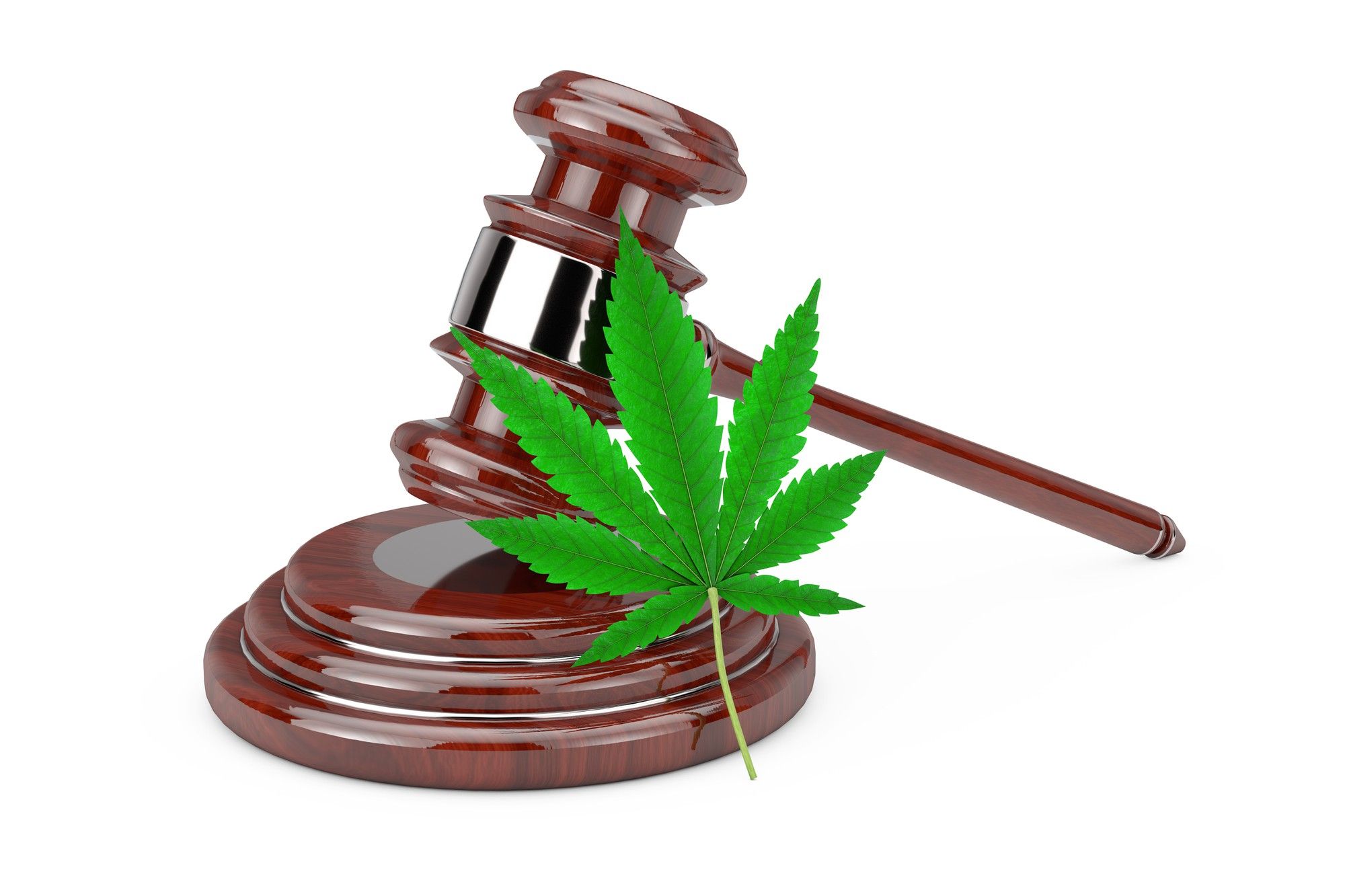 Cannabis medicinal na política do exterior