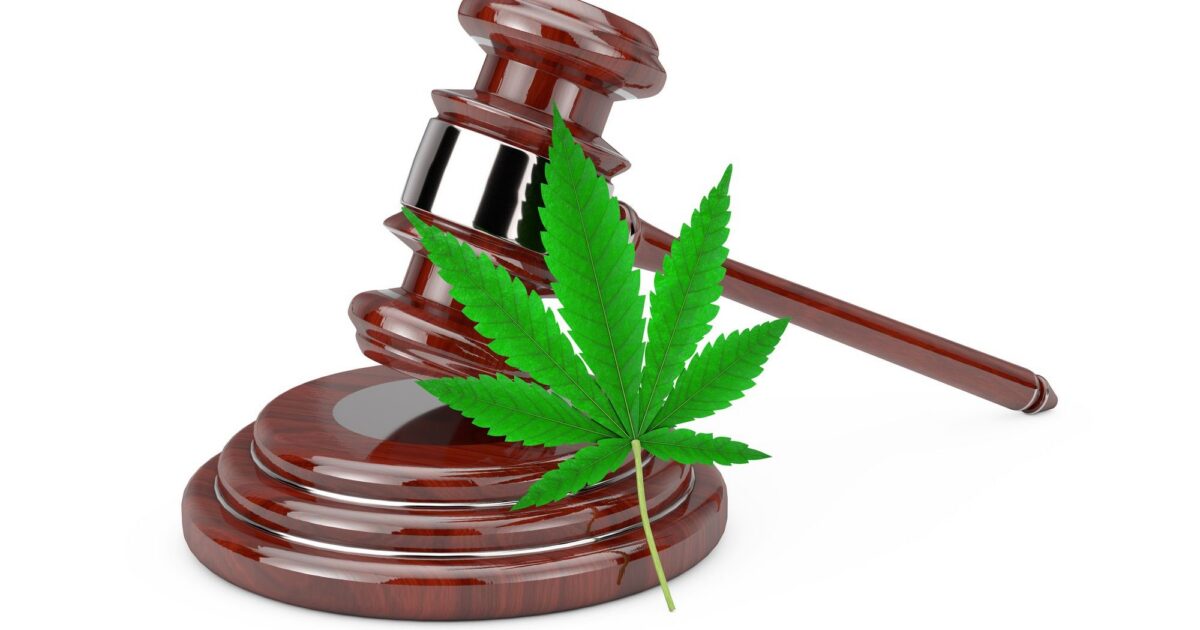 Cannabis na política internacional: como o tema é tratado?
