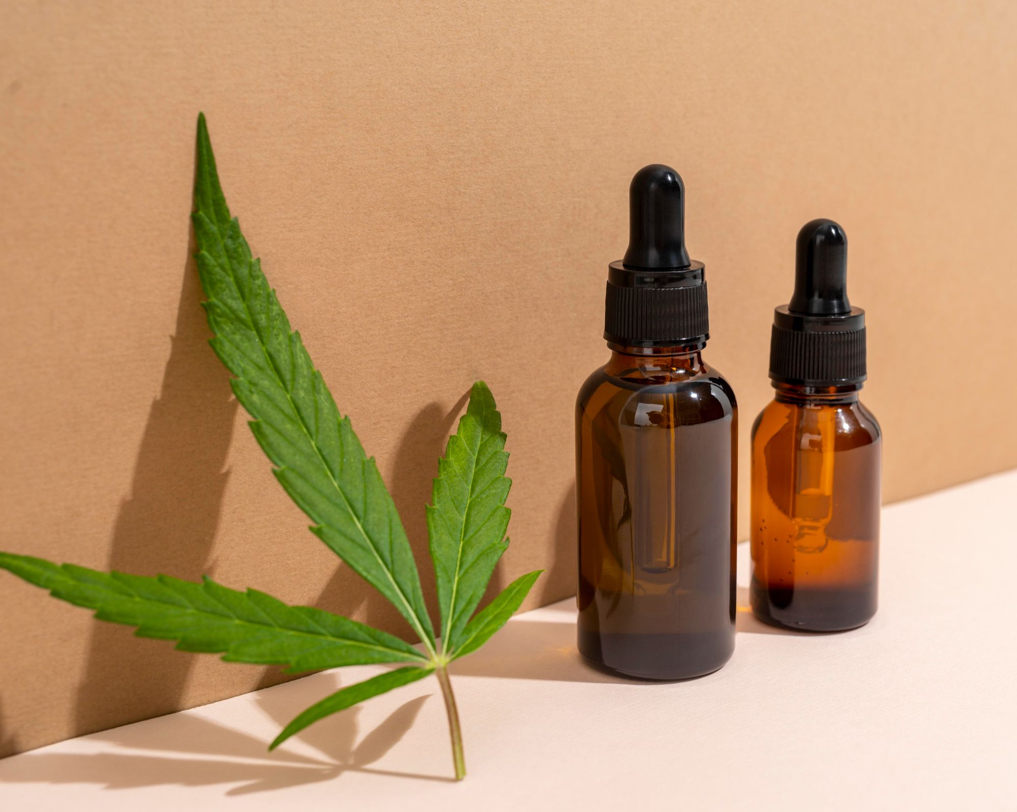 Terapia com canabinoides: o que é e como usufruir dela?