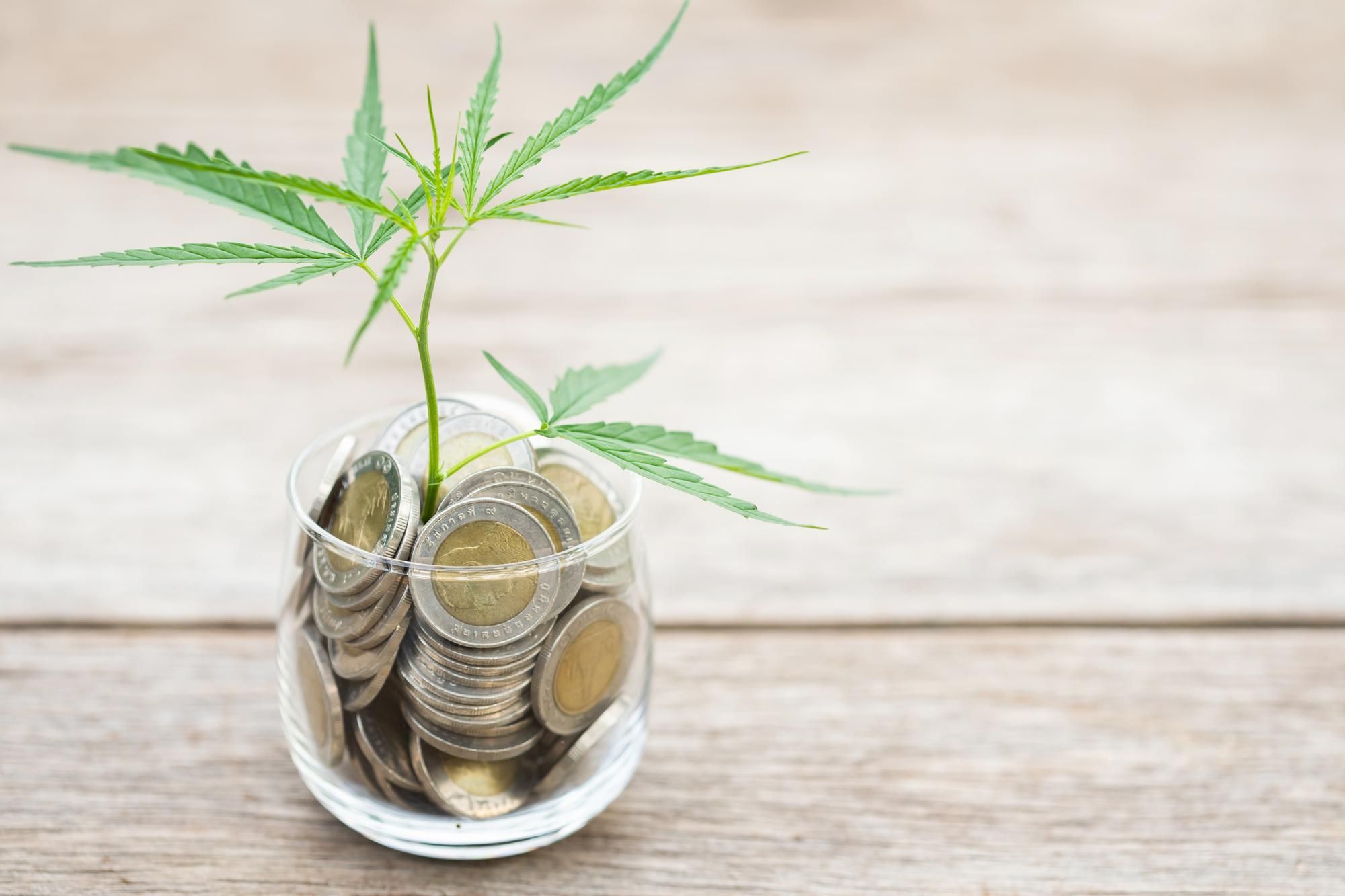 Quanto custa um tratamento com cannabis medicinal?