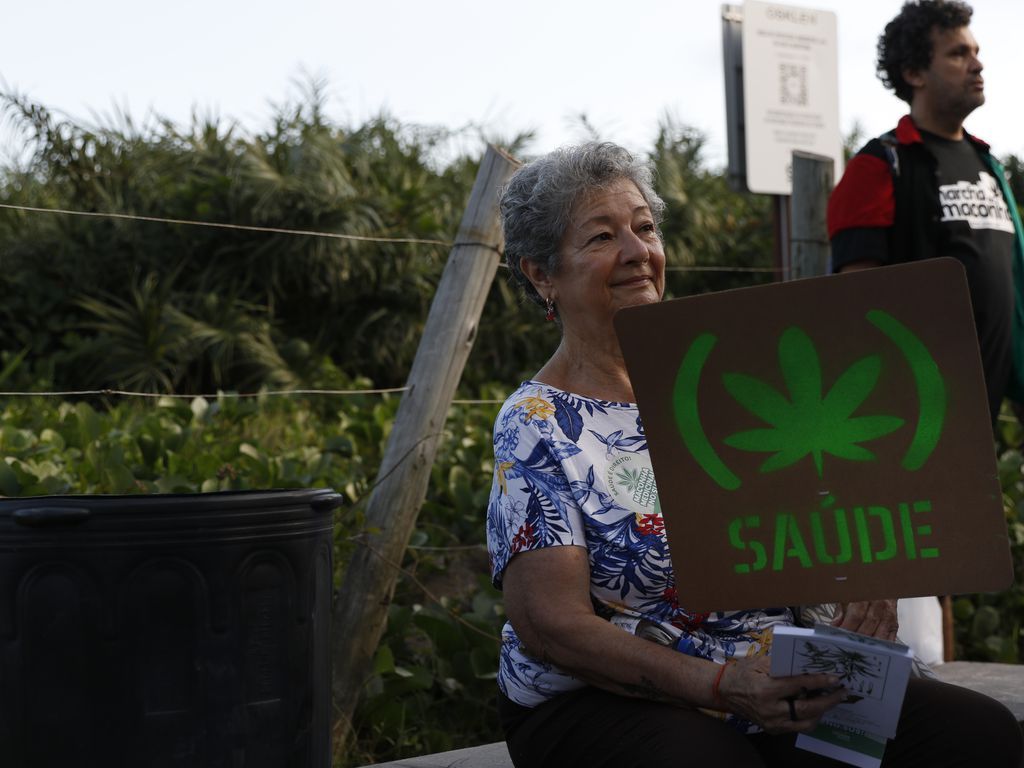 Como anda o assunto sobre legalização da cannabis no Brasil?
