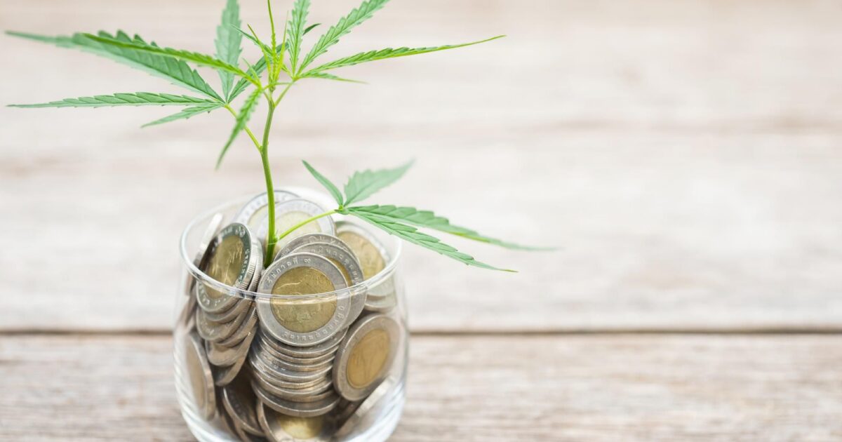 Quanto custa um tratamento com cannabis medicinal?