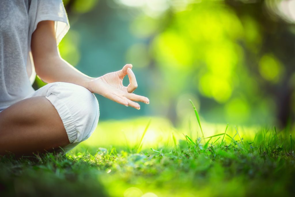 Homeostase e cannabis medicinal