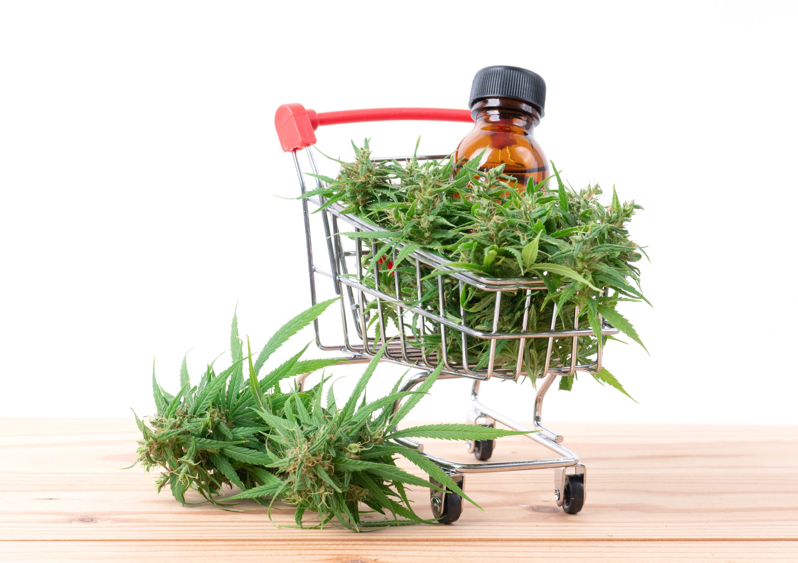 Cinco dicas para comprar óleo de cannabis com segurança
