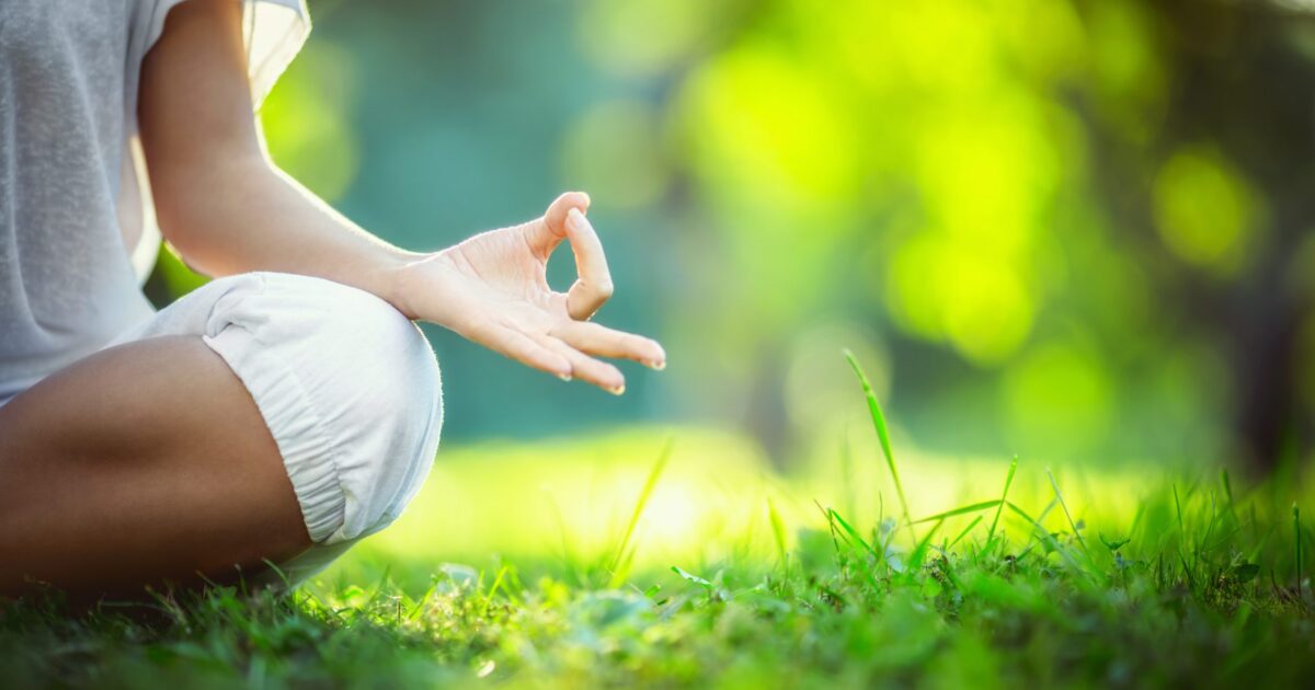 Homeostase e cannabis medicinal: qual é a relação?