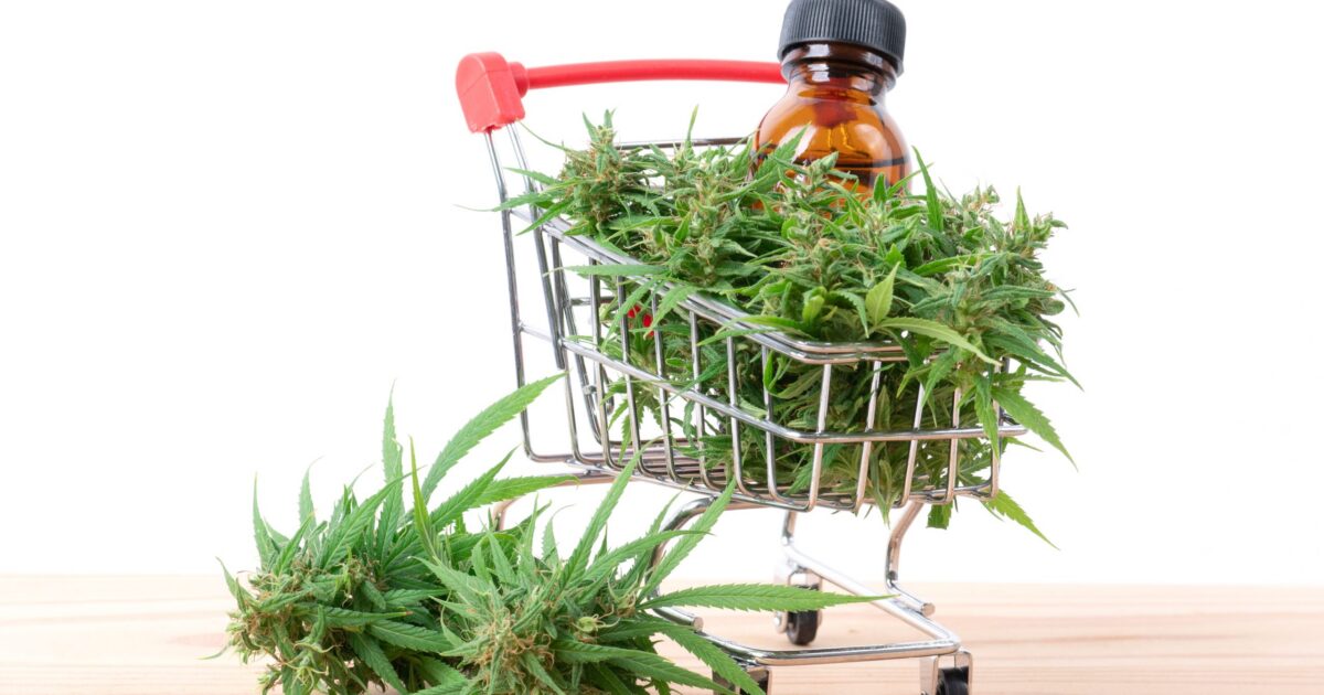 Cinco dicas para comprar óleo de cannabis com segurança