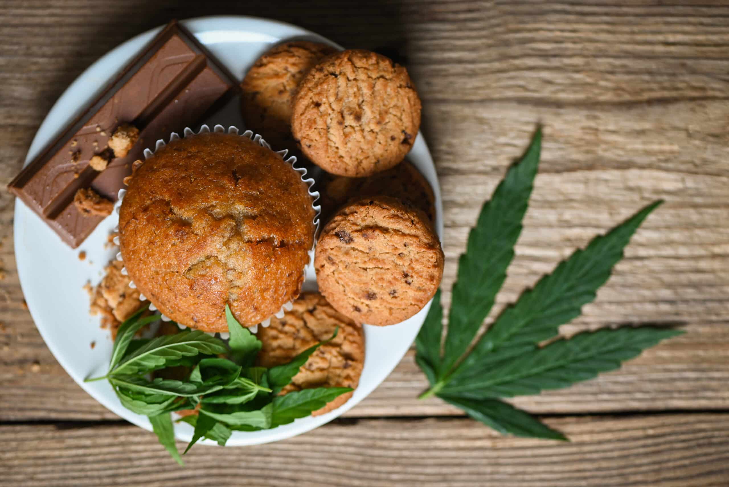 reino-unido-publica-novas-recomendacoes-sobre-o-uso-de-cbd