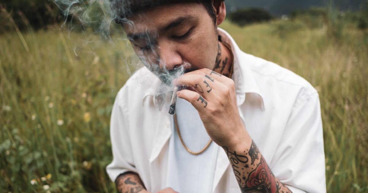 Redução de danos com cannabis medicinal: o que se sabe?