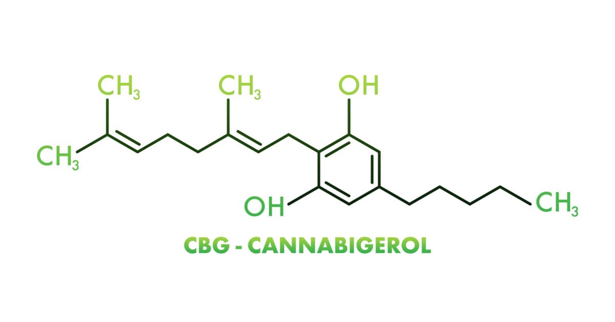Canabigerol (CBG): o que é e para que serve?