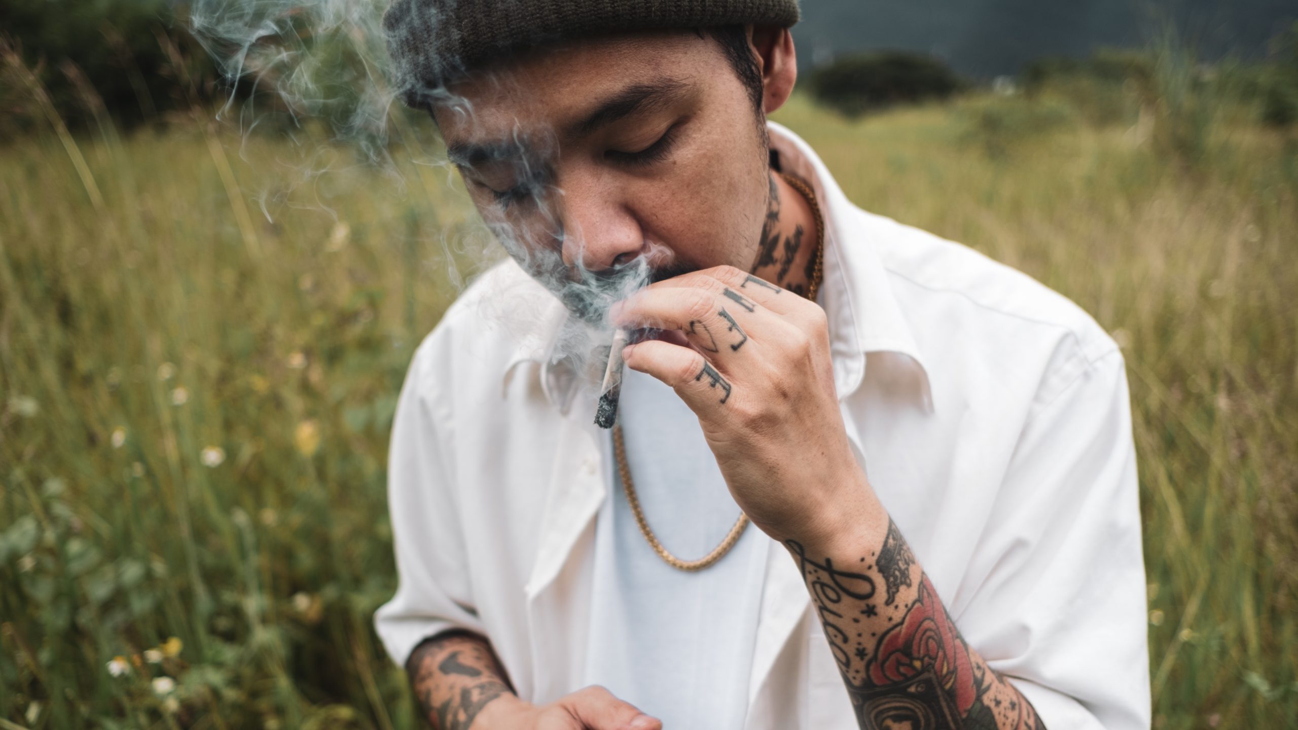 É possível falar sobre “redução de danos” com cannabis medicinal?
