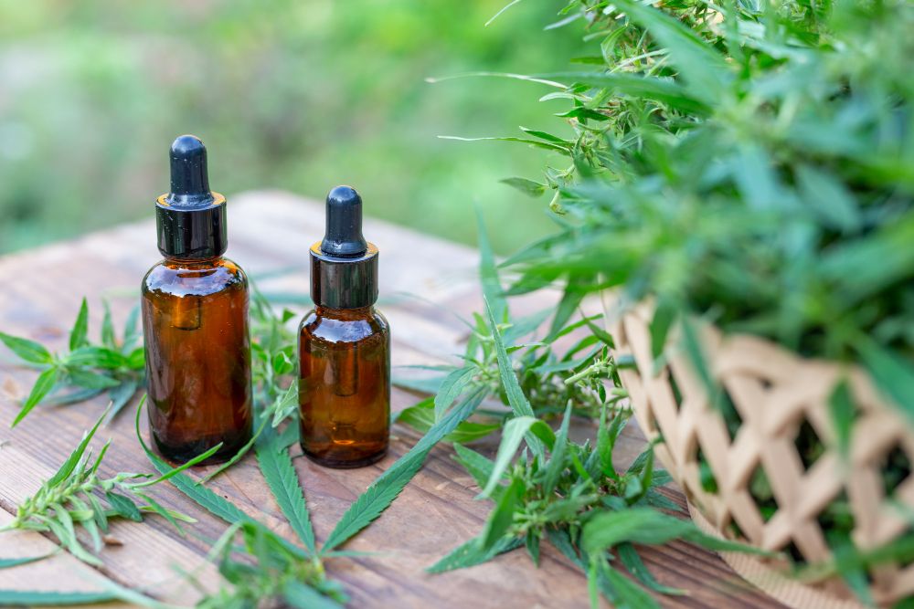 Como está o acesso à cannabis medicinal no Brasil?