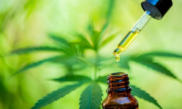 quem são os médicos que prescrevem cannabis no Brasil?