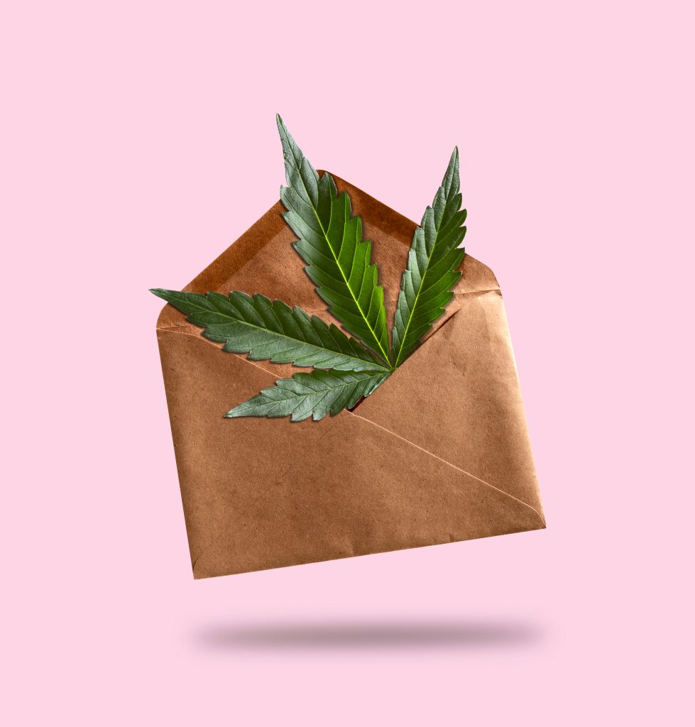 Entenda como o tratamento com cannabis pode ser menos burocrático