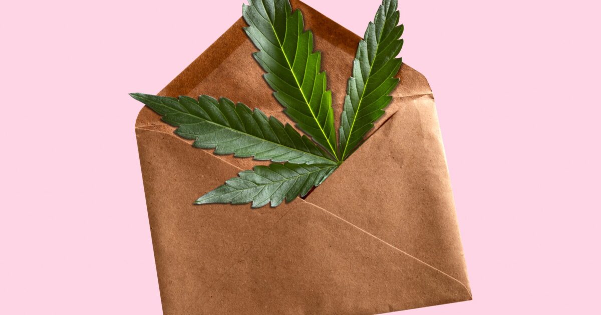 Entenda como o tratamento com cannabis pode ser menos burocrático