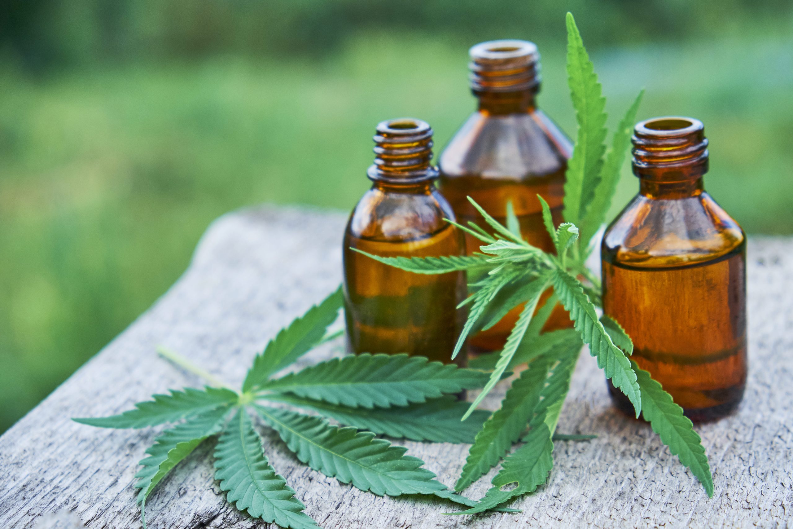 Tratamento com cannabis: o que esperar?
