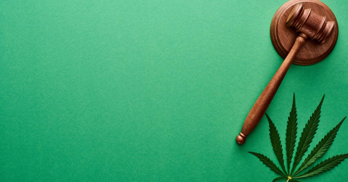 Cannabis medicinal: conheça as regulamentações brasileiras