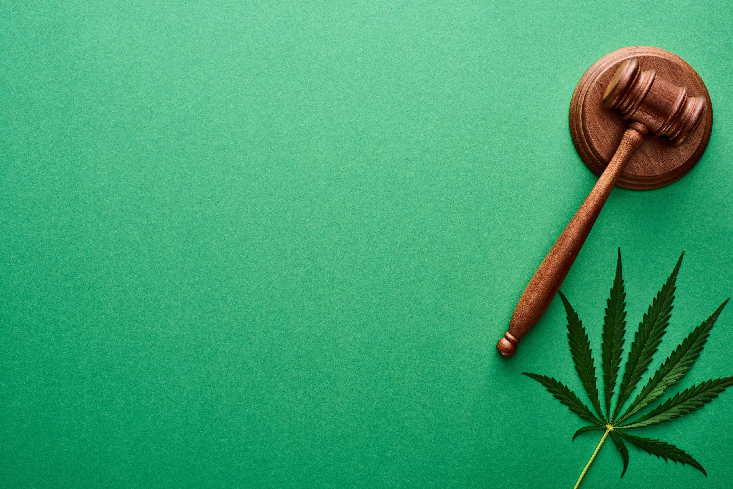 Cannabis medicinal: conheça as regulamentações brasileiras