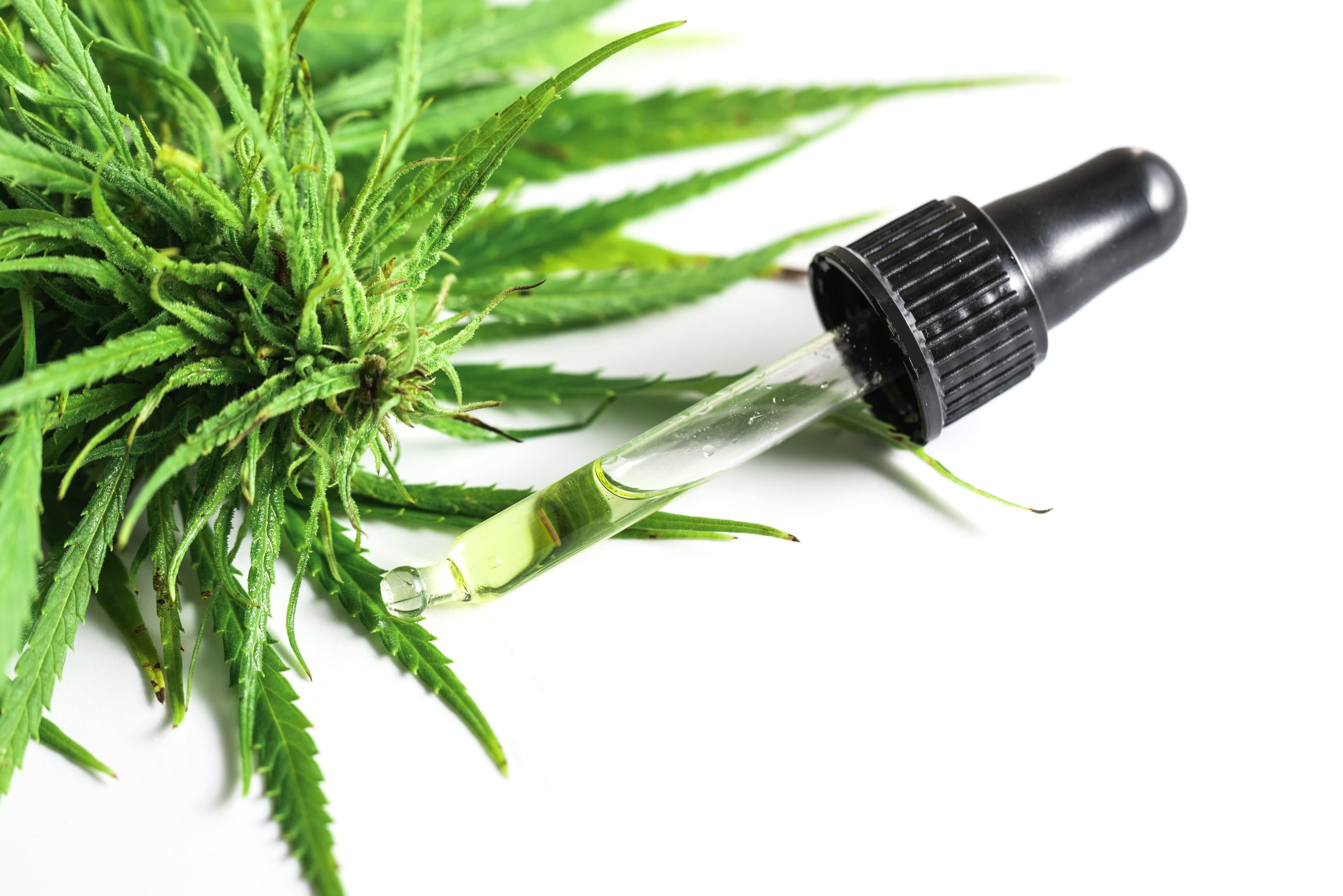 Podcast vai abordar o uso da cannabis para autismo