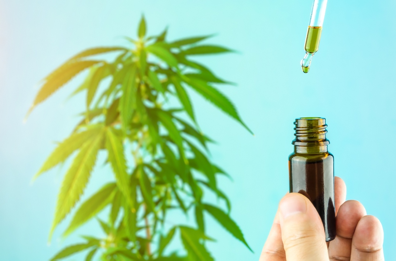 Mato Grosso do Sul sanciona lei sobre cannabis no SUS