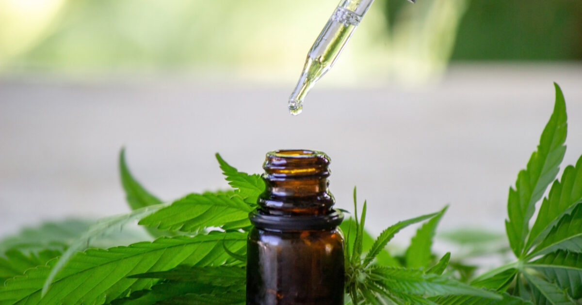 Mercado de cannabis medicinal chega a R$850 milhões