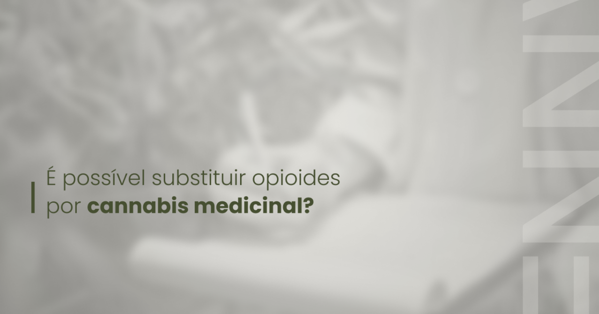É possível substituir opioides por cannabis medicinal?