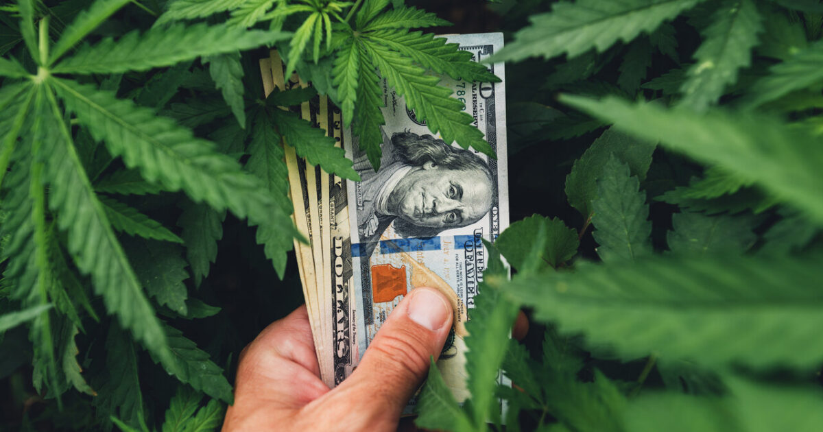 Por que o preço do CBD  varia tanto?