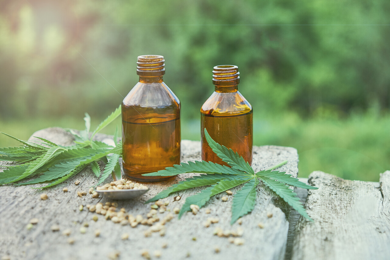 Anvisa abre consulta pública sobre a regulamentação da cannabis 