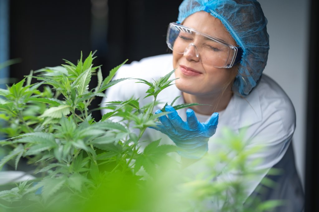 A reavaliação contínua dos produtos disponíveis na Cannect mantém os padrões de qualidade, sem perder as evoluções do mercado e as novas regulamentações.