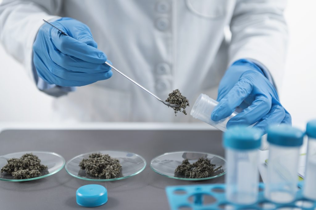 Para que servem os testes de qualidade para a cannabis?