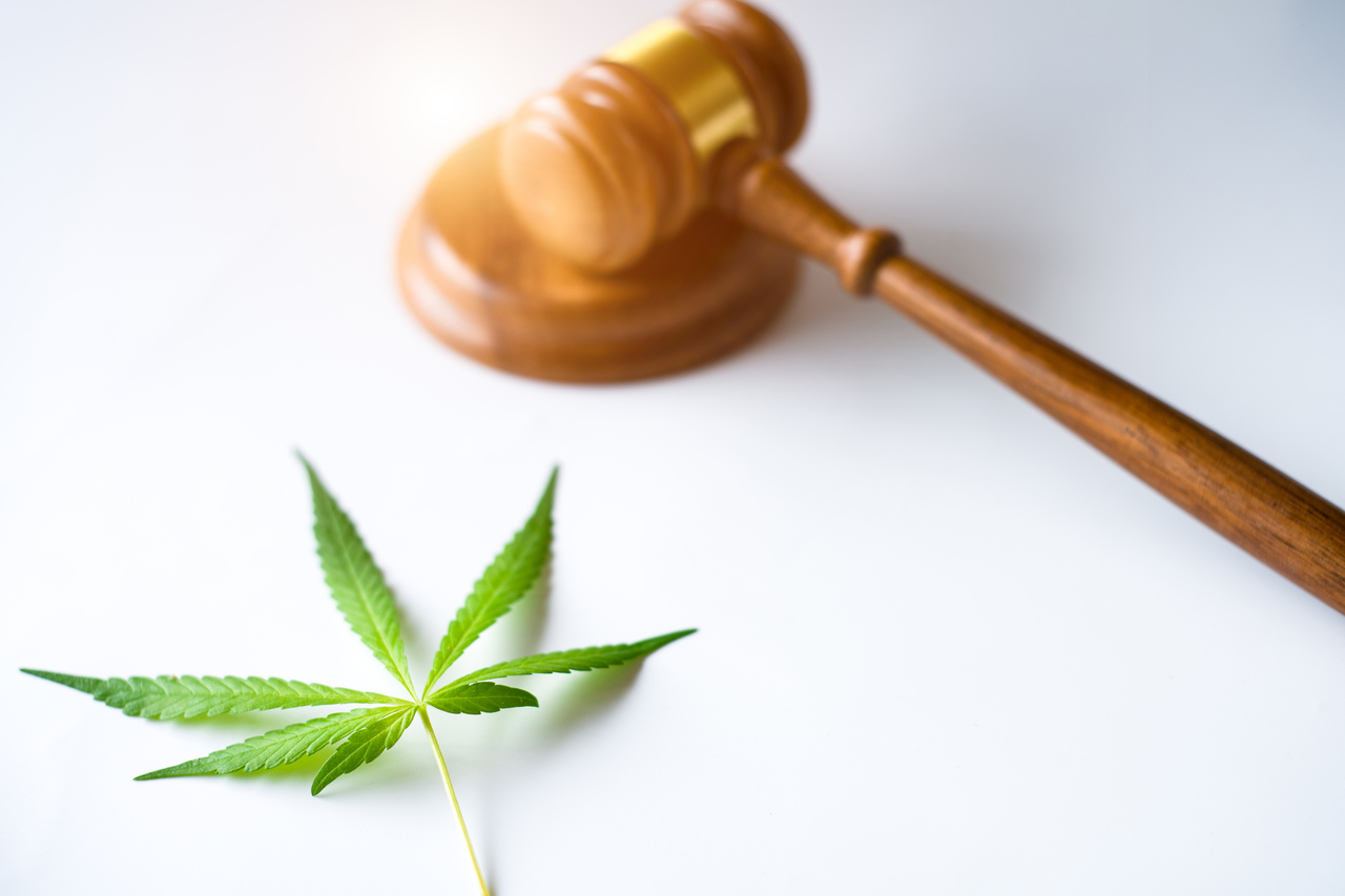 Sem cannabis para o uso domiciliar? Entenda a decisão do STJ