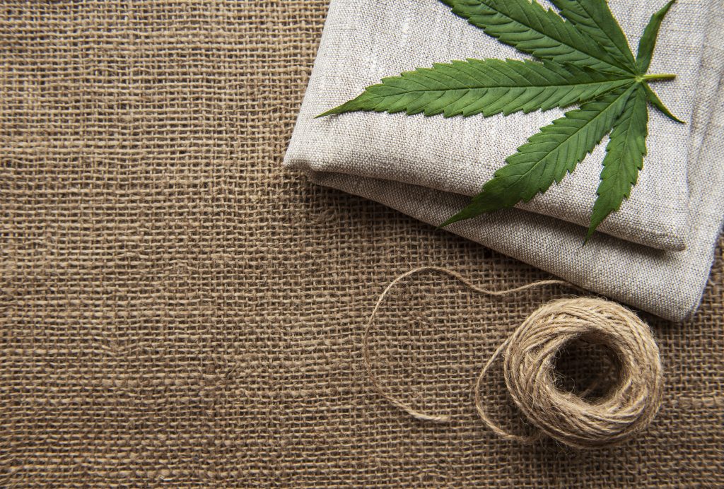 O que é hemp? Diferenças entre cânhamo e maconha
