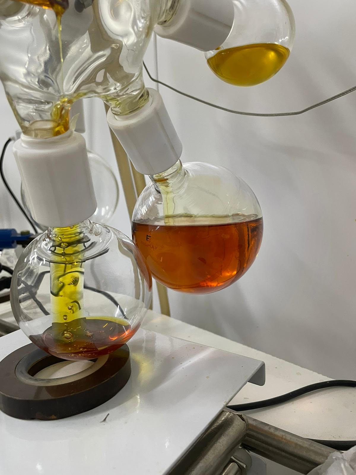 Austral Botanicals ciência, natureza e cuidado em cada gota 