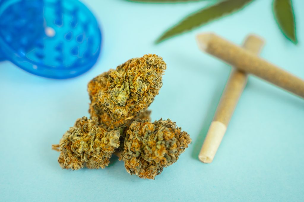 CBD medical marijuana and hemp leaves. Medical cannabis.