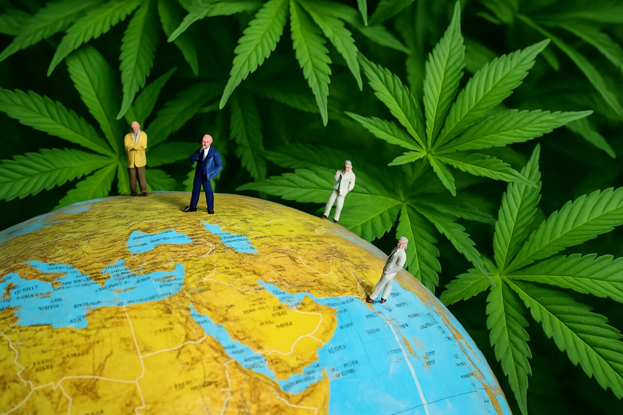 Cannabis Recreativa Onde o uso adulto já é permitido Cannabis Recreativa Onde o uso adulto já é permitido