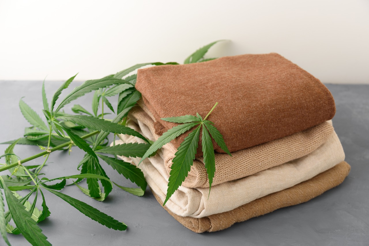 Cannabis no cotidiano: como ela aparece além da medicina